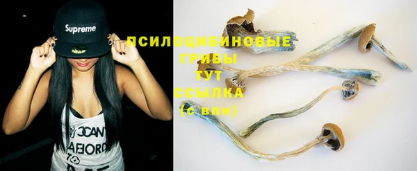 прущие крисы Алексеевка