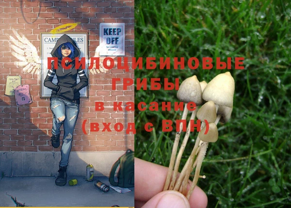 прущие крисы Алексеевка