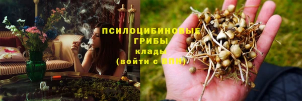 прущие крисы Алексеевка