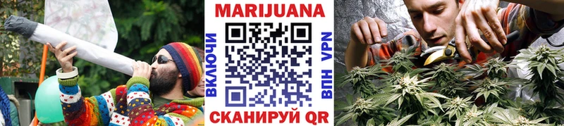 Конопля сатива Ликино-Дулёво
